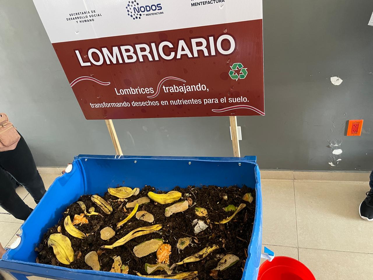 Lombricario 4